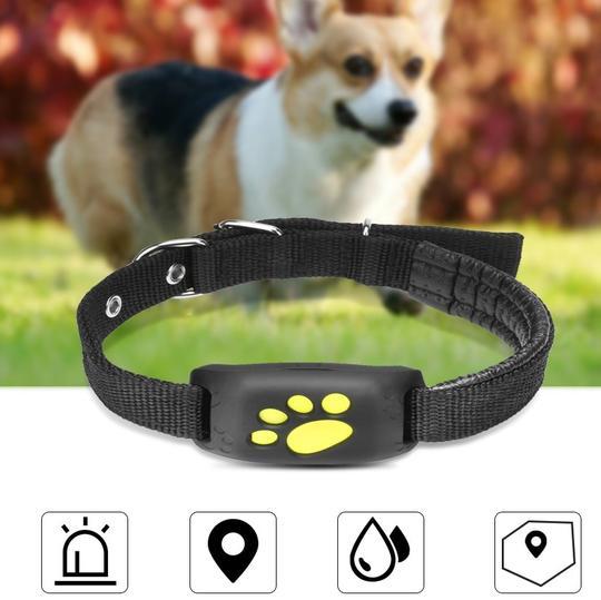 GPS Pet Tracker – Keep Cats & Dogs Safe Anywhere